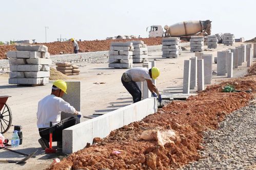 謝崗鎮粵海大道29號路等道路工程建設穩步推進